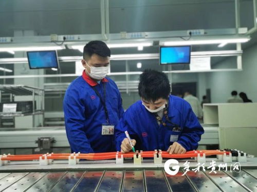 比亞迪貴陽弗迪動力高壓電氣工廠首批線束產品成功下線，加速高低壓電氣產業布局